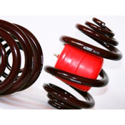 Toyota RAV4  2&4 1996-2000 Rear Air Lift 1000 Kit