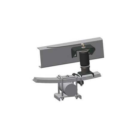 Ford F-150 1/2 Ton Pickup                                                           4WD 2010-2014 Rear RideControl Kit