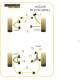 Jaguar (Daimler) XK/ XKR - X150 (2006-) Powerflex Rear Upper Arm Front Bush PFR27-613BLK