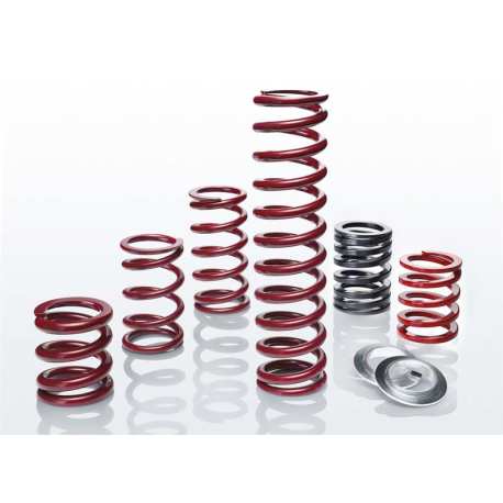 Eibach Racing Spring (Coilover): 64mm (2.5in)ID x 305mm L - 114N/mm