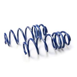 H&R Performance Lowering Springs: Citroen Ax (za-_) 14 GT (ref: 29901-1)