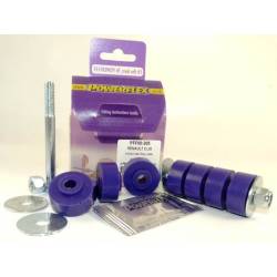 Renault Clio including 16v & Williams Powerflex Front Anti Roll Bar Outer Mount PFF60-205